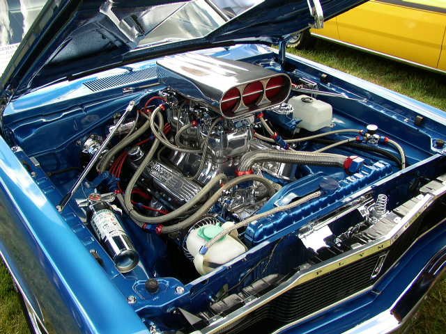 P1010294.JPG
